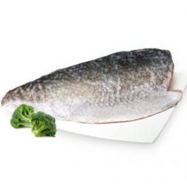 barramundi