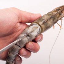 butterfly prawn